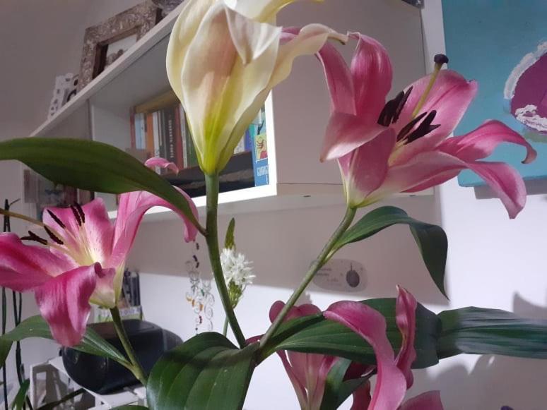 로마 Ritorno A Casa B&B 외부 사진